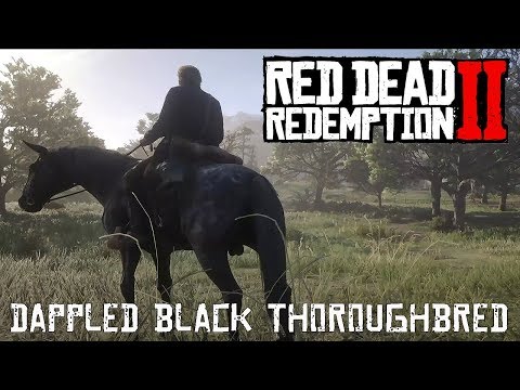 Red Dead Redemption 2 - Acquiring The Dappled Black Thoroughbred